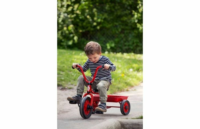 Winther Driewieler Met Laadbak 522440 - Afbeelding 2