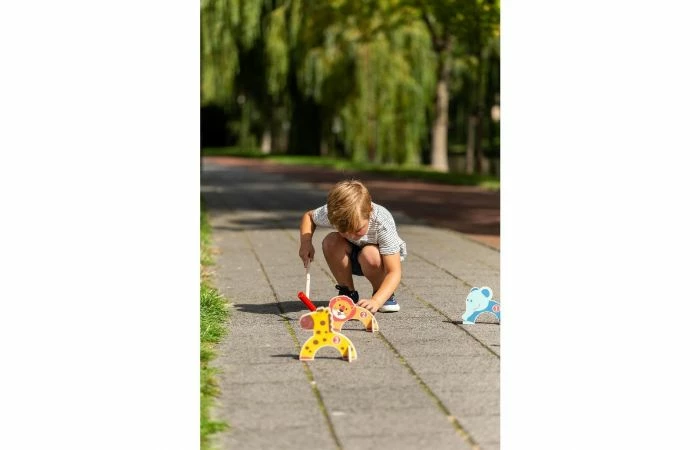 Outdoor Play Dieren Croquet Set - Afbeelding 7