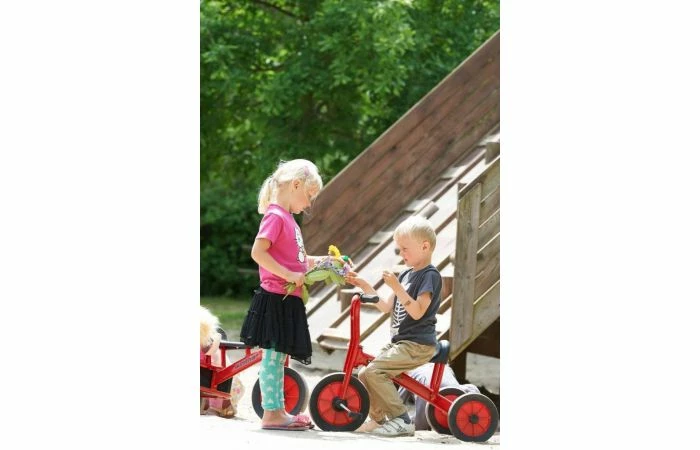 Winther Driewieler Mini - Afbeelding 4