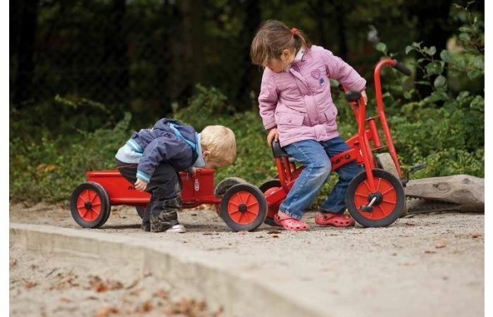 Winther Driewieler Mini - Afbeelding 7