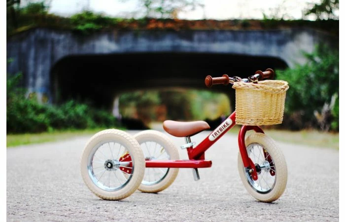 Fietsmandje Tbv Trybike Steel - Afbeelding 2