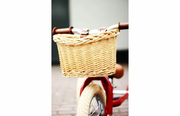 Fietsmandje Tbv Trybike Steel - Afbeelding 4