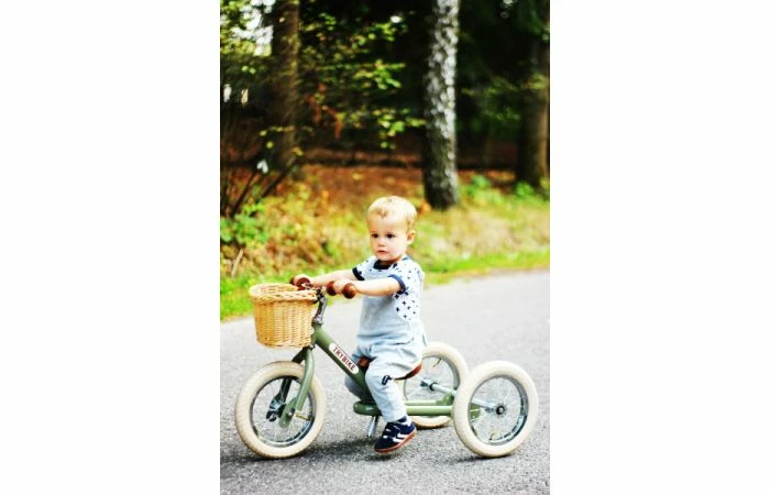 Fietsmandje Tbv Trybike Steel - Afbeelding 5